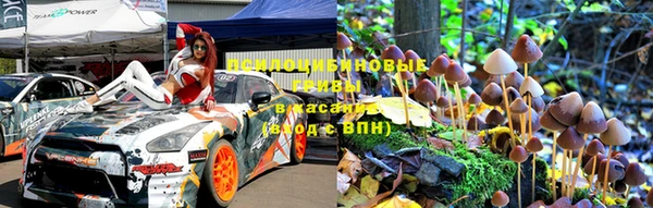 шишки Каменск-Шахтинский
